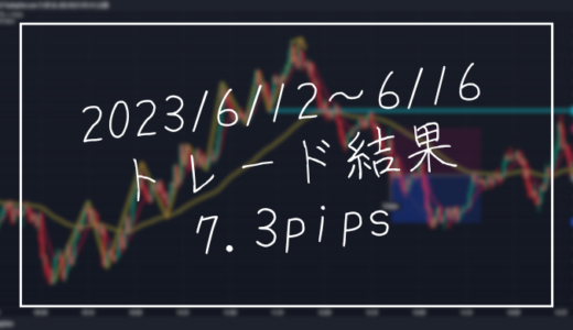 FX6/12～6/16のトレード結果は+7.3pips